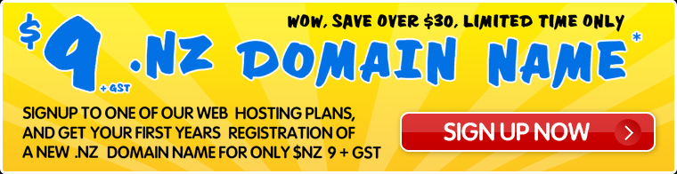 Cheap NZ domain names